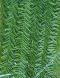 pine chenille